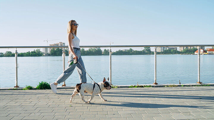 Young woman walking her dog in the morning and getting Vitamin D from sunlight.