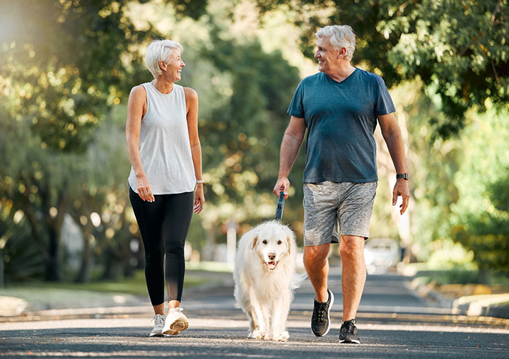 A middle-aged couple, and their dog, enjoy a leisurely morning walk.